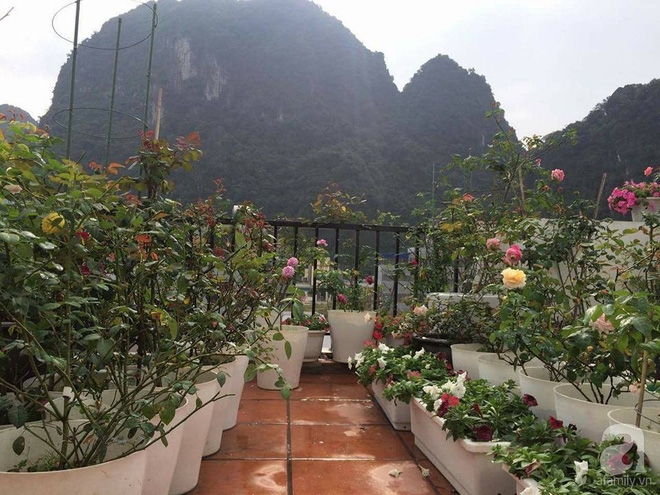 Ngôi nhà hoa hồng nhỏ nhắn và vô cùng dễ thương giữa thành phố Hạ Long của mẹ trẻ xinh đẹp