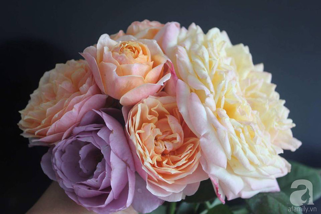 Ngôi nhà hoa hồng nhỏ nhắn và vô cùng dễ thương giữa thành phố Hạ Long của mẹ trẻ xinh đẹp