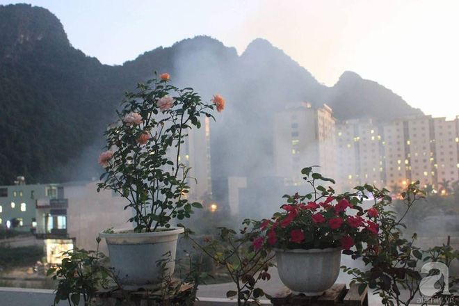 Ngôi nhà hoa hồng nhỏ nhắn và vô cùng dễ thương giữa thành phố Hạ Long của mẹ trẻ xinh đẹp