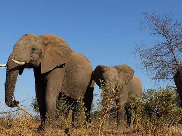 Vẫn biết dân mạng sáng tạo, nhưng nghĩ ra những cái tên độc thế này cho bé trai họ Bành thì cũng thật cạn lời