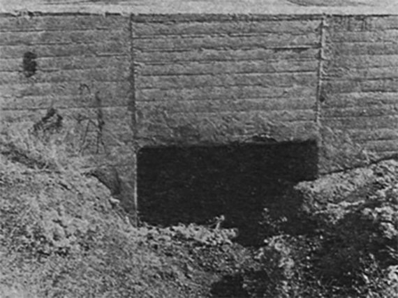 Đêm kinh hoàng của thiếu nữ 15 tuổi, bị cưỡng bức, chặt tay rồi vứt bên đường, cuối cùng lại bị hung thủ kiện ngược