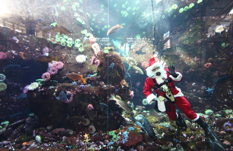 Top 10 sân bay đẹp mê ly, kể cả delay 1 tuần hành khách vẫn vui vẻ chấp nhận