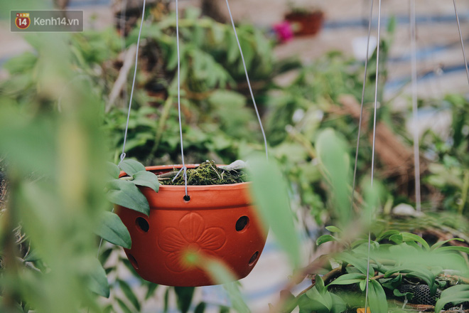 Câu chuyện về 32 giò lan của liệt sĩ phi công Khuất Mạnh Trí: Về đi Trí ơi! Lan của anh em mình nở đẹp lắm