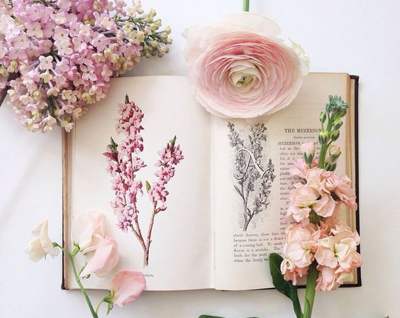 Lời nhắc nhở 12 con giáp không thể bỏ qua: 6 điều nên và 6 điều tuyệt đối tránh trong tuần này (15/10- 21/10)