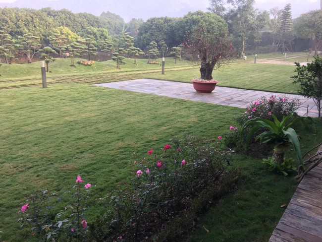 Cận cảnh biệt thự nhà vườn là công trình vi phạm lớn của diva Mỹ Linh