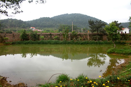 Cận cảnh biệt thự nhà vườn là công trình vi phạm lớn của diva Mỹ Linh