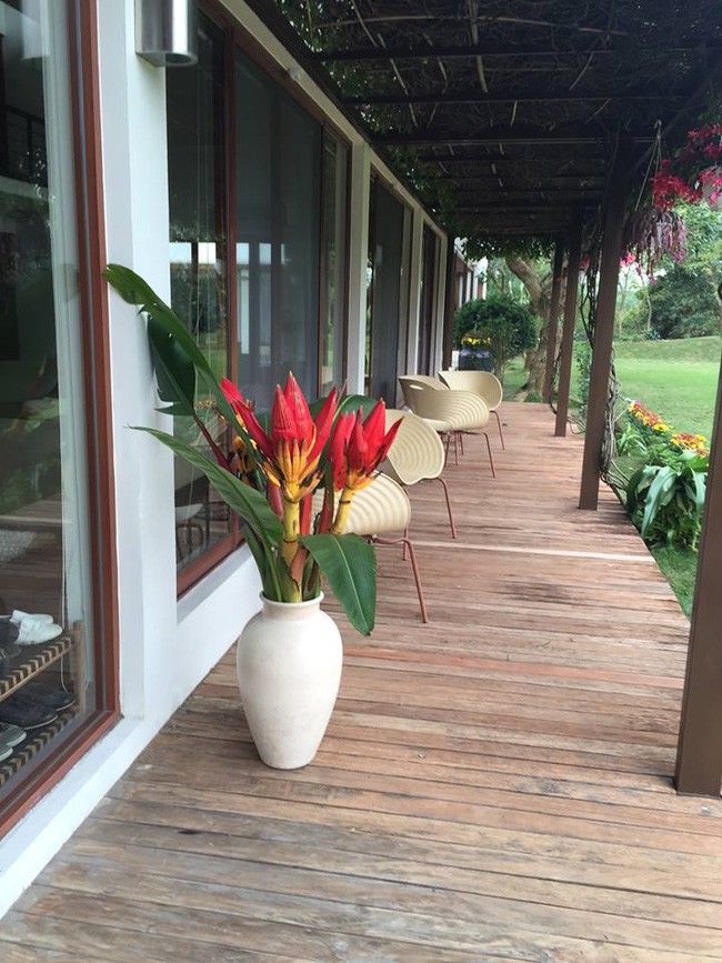 Cận cảnh biệt thự nhà vườn là công trình vi phạm lớn của diva Mỹ Linh