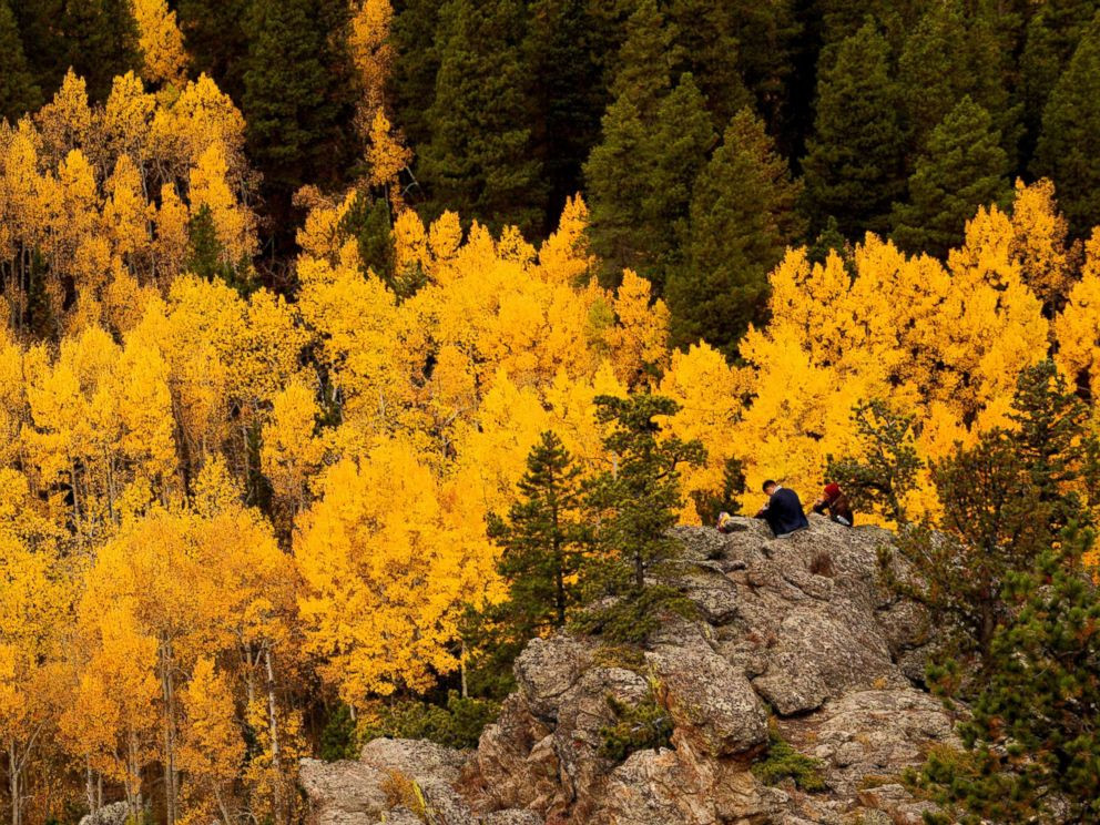 Ngẩn ngơ ngắm nước Mỹ rực rỡ khi thu về