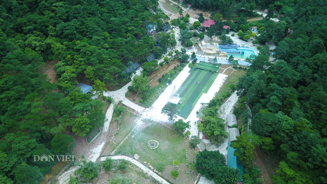 Video: Cận cảnh rừng phòng hộ Sóc Sơn bị xẻ thịt từng ngày