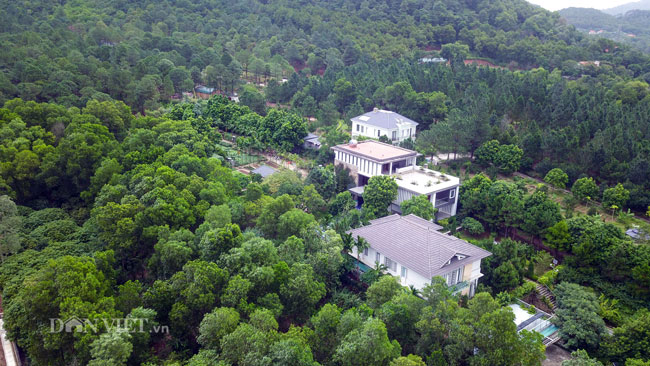 Video: Cận cảnh rừng phòng hộ Sóc Sơn bị xẻ thịt từng ngày