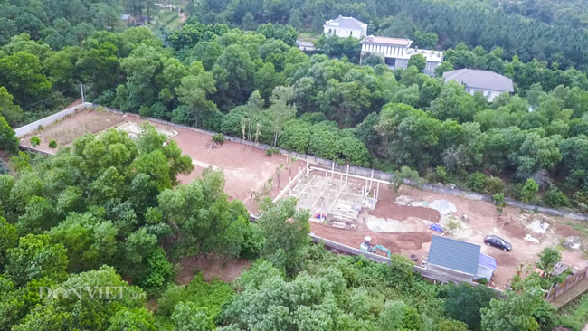 Video: Cận cảnh rừng phòng hộ Sóc Sơn bị xẻ thịt từng ngày