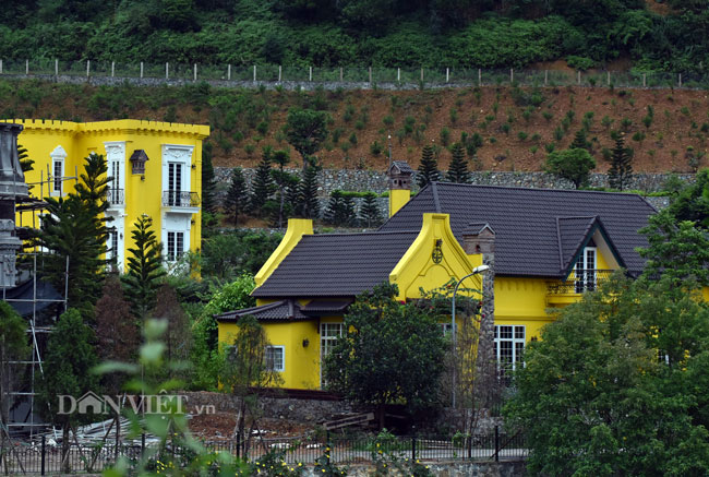 Video: Cận cảnh rừng phòng hộ Sóc Sơn bị xẻ thịt từng ngày