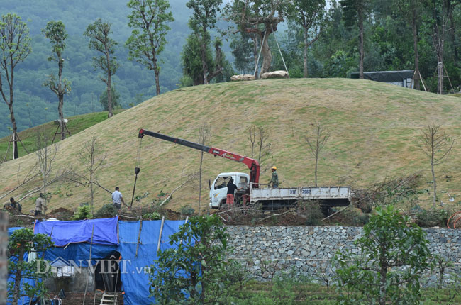 Video: Cận cảnh rừng phòng hộ Sóc Sơn bị xẻ thịt từng ngày Video: Cận cảnh rừng phòng hộ Sóc Sơn bị xẻ thịt từng ngày