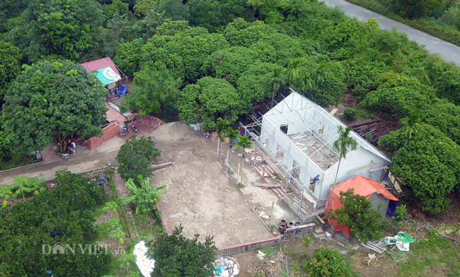 Video: Cận cảnh rừng phòng hộ Sóc Sơn bị xẻ thịt từng ngày