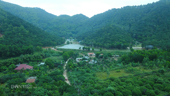 Video: Cận cảnh rừng phòng hộ Sóc Sơn bị xẻ thịt từng ngày