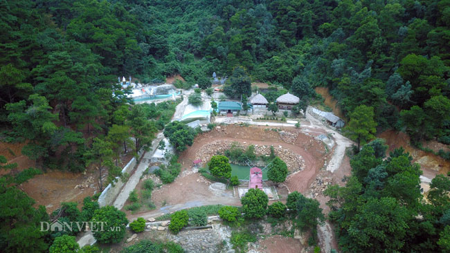 Video: Cận cảnh rừng phòng hộ Sóc Sơn bị xẻ thịt từng ngày