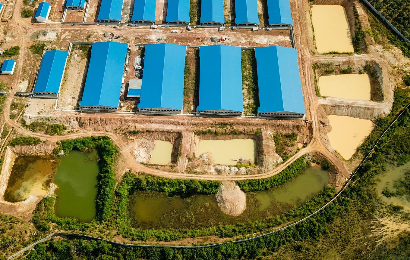 Trại heo khủng xây trái phép cạnh hồ Trị An nhìn từ trên cao