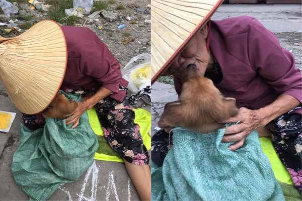 Rưng rưng với nụ hôn và giọt nước mắt tiễn biệt của cụ bà trước khi bán chú chó nhỏ đổi tiền chữa bệnh