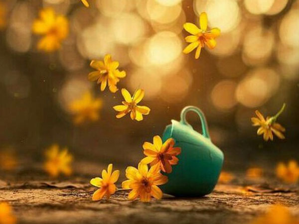 Thứ Tư của bạn (17/10): Bọ Cạp rủng rỉnh tiền tiêu