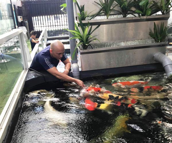 Hơn 300 chú cá quốc ngư xứ Mặt Trời mọc đẹp mê hồn của trai phố núi