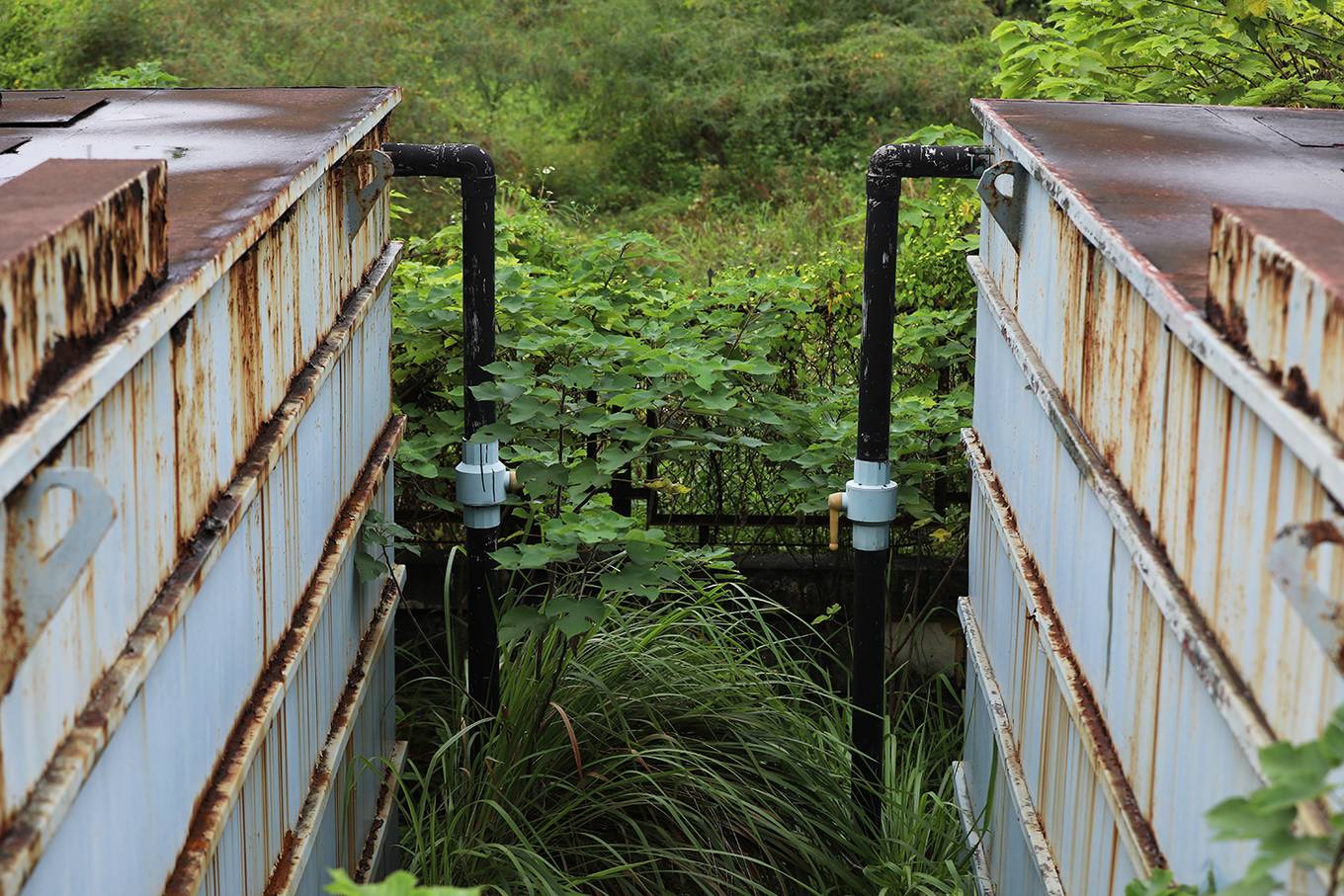 Trạm xử lý nước thải ở Hà Nội bị bỏ hoang 10 năm