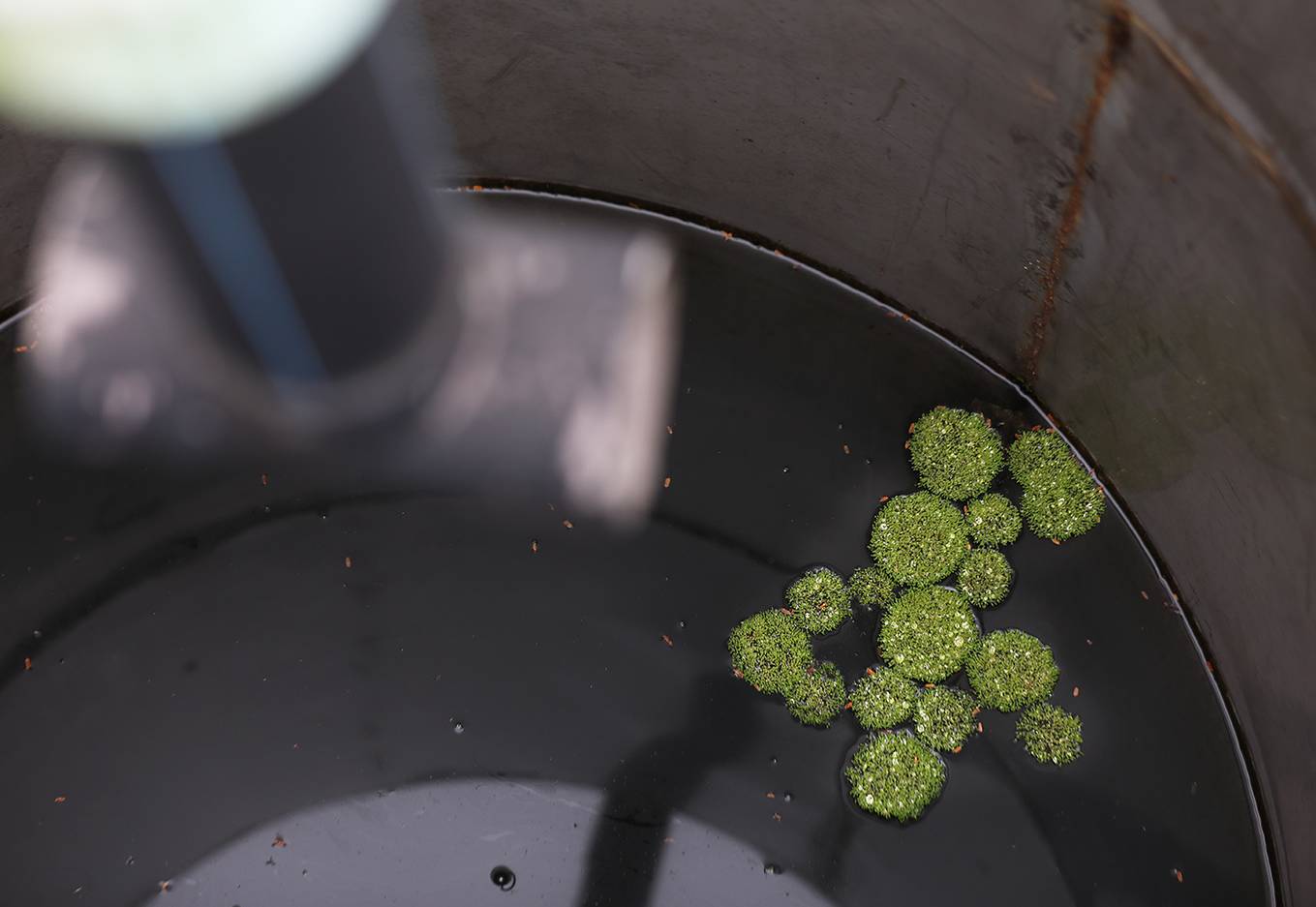 Trạm xử lý nước thải ở Hà Nội bị bỏ hoang 10 năm