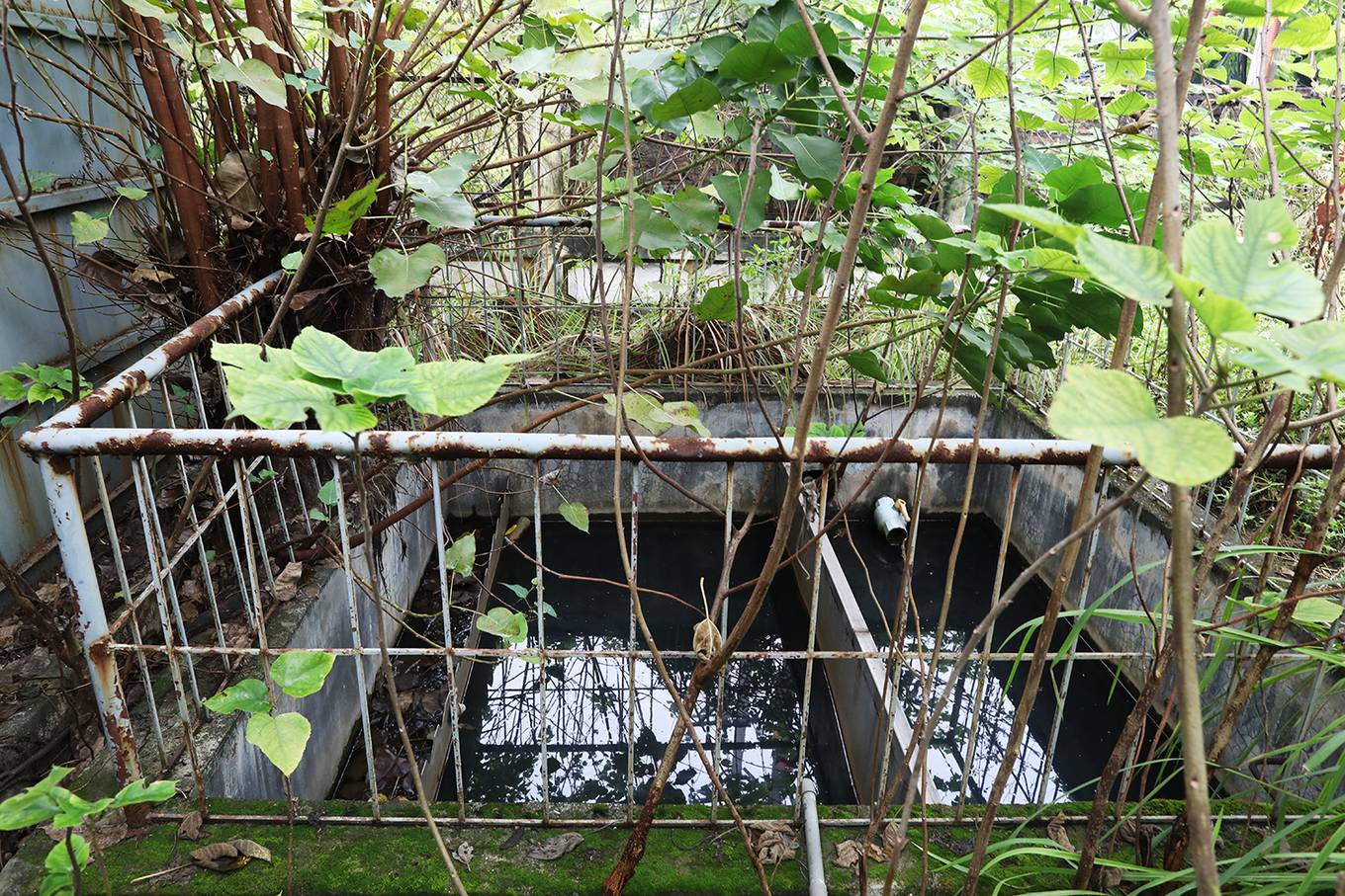 Trạm xử lý nước thải ở Hà Nội bị bỏ hoang 10 năm