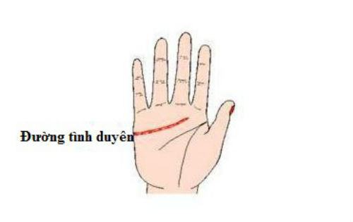 Đây là tướng bàn tay của những người được trời ban cho duyên đẹp, cuộc đời luôn có quý nhân phù hộ