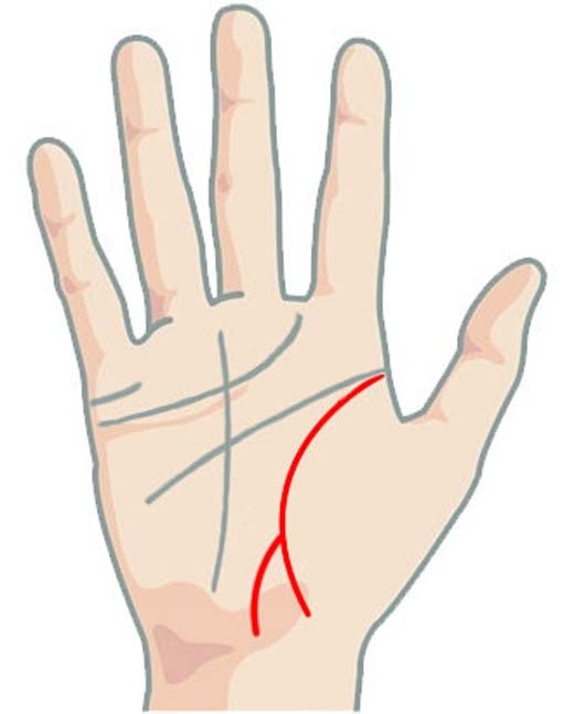 Đây là tướng bàn tay của những người được trời ban cho duyên đẹp, cuộc đời luôn có quý nhân phù hộ