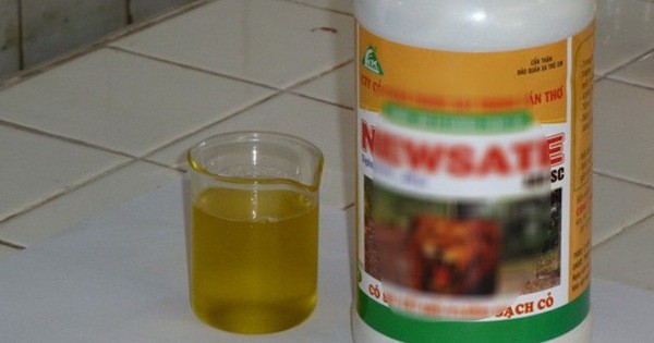 Nữ giáo viên ở miền Tây cho con uống thuốc diệt cỏ vì chồng nộp đơn ly hôn