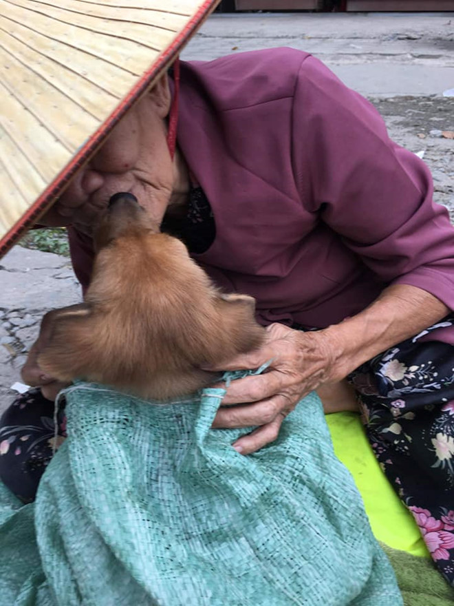 Góc khuất phía sau hình ảnh bà lão hôn tạm biệt cậu Vàng trước khi bán gây sốt cộng đồng mạng