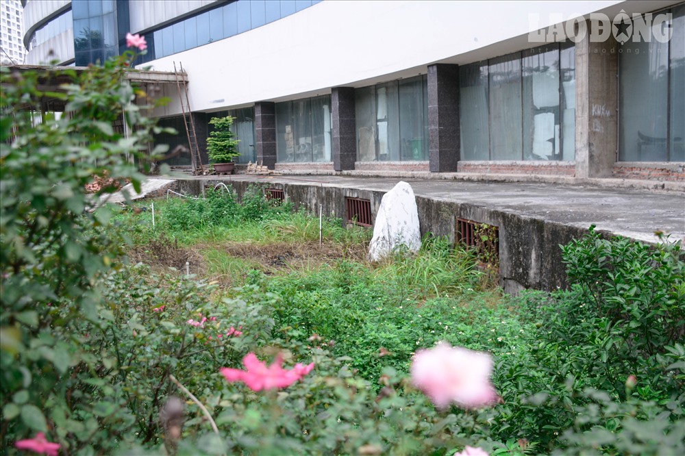 Cận cảnh bệnh viện nghìn tỉ bị lãng quên lạnh lẽo giữa lòng Hà Nội