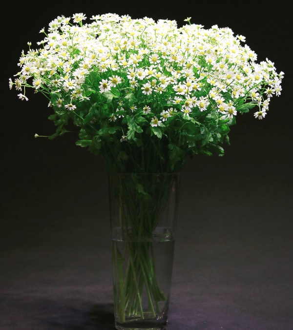 Ngày 20/10, chị em thích hoa đồng nội, quý ông chuộng hoa hồng