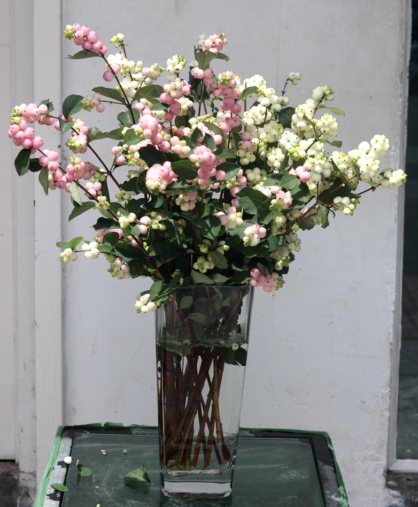 Ngày 20/10, chị em thích hoa đồng nội, quý ông chuộng hoa hồng