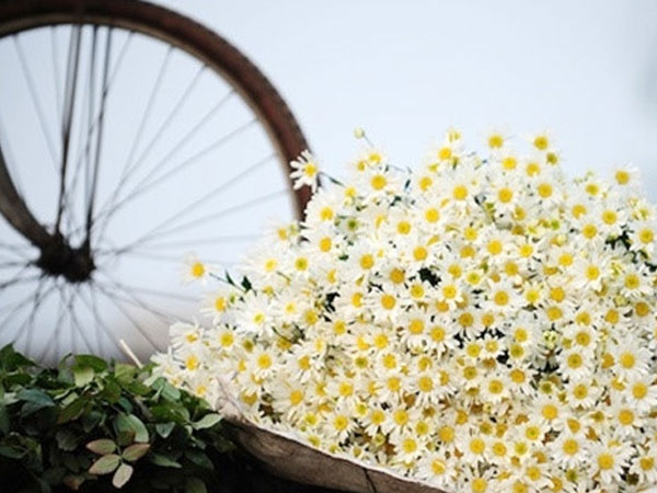 Thứ Sáu của bạn (19/10): Nhân Mã luôn luôn mỉm cười Thứ Sáu của bạn (19/10): Nhân Mã luôn luôn mỉm cười