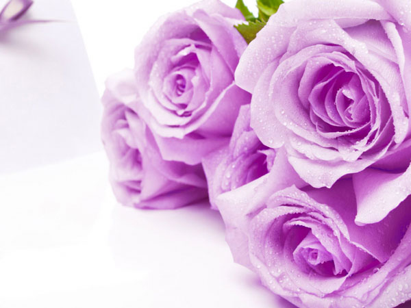 Những lời chúc hay và ý nghĩa nhất dành tặng cho phái đẹp nhân ngày Phụ nữ Việt Nam 20/10