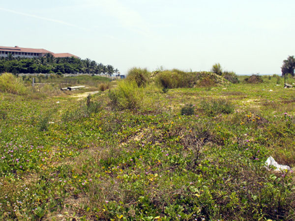 Đà Nẵng thu hồi dự án ven biển liên quan đến Vũ Nhôm