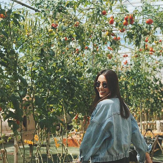 Ai cũng muốn có hội bạn thân giống Tăng Thanh Hà: Cùng nhau đi Đà Lạt, toàn U40 nhưng luôn rạng rỡ như thiếu nữ