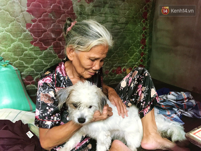 Bà lão trong bức ảnh hôn tạm biệt cậu Vàng trước khi bán chia sẻ lý do nói không đúng sự thật về gia cảnh của mình