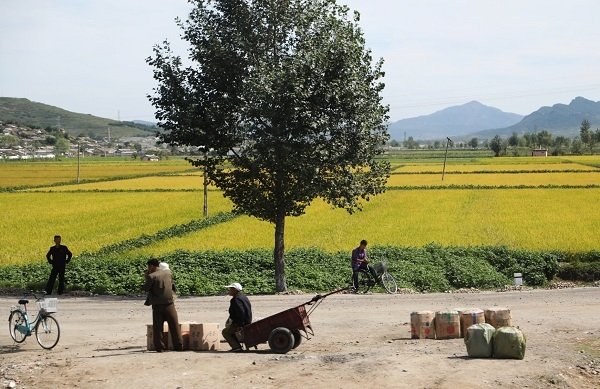 Hình ảnh chân thực về cuộc sống ở ngoại ô Bình Nhưỡng
