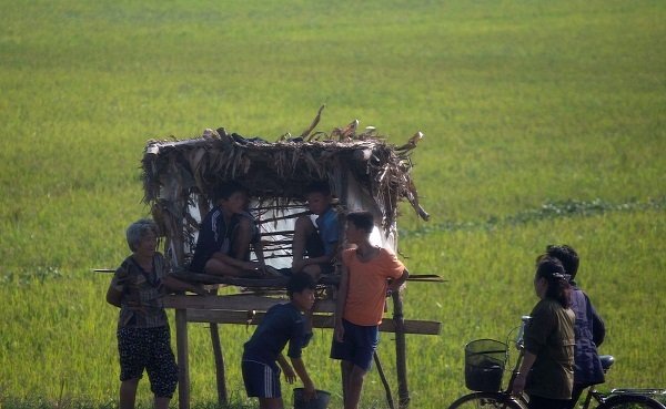 Hình ảnh chân thực về cuộc sống ở ngoại ô Bình Nhưỡng