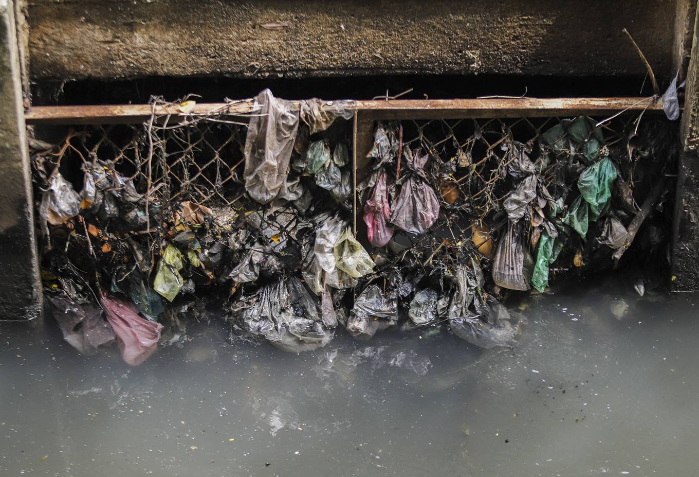 Nước thải hôi thối bao vây Chùa Cầu Hội An