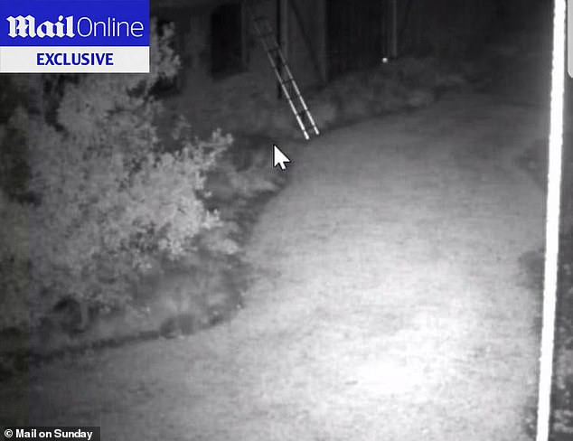 Sốc: Gia đình Beckham bàng hoàng khi bị nhóm trộm đeo mặt nạ đột nhập vào biệt thự