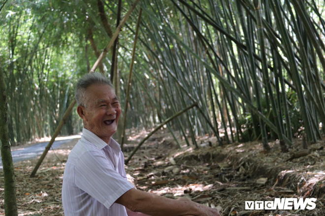 Con đường tre xanh đẹp như tranh vẽ của lão nông 83 tuổi