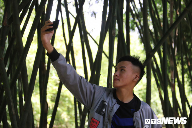 Con đường tre xanh đẹp như tranh vẽ của lão nông 83 tuổi