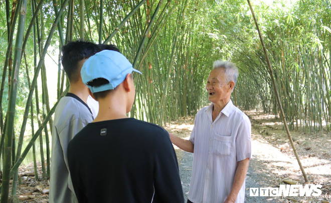 Con đường tre xanh đẹp như tranh vẽ của lão nông 83 tuổi