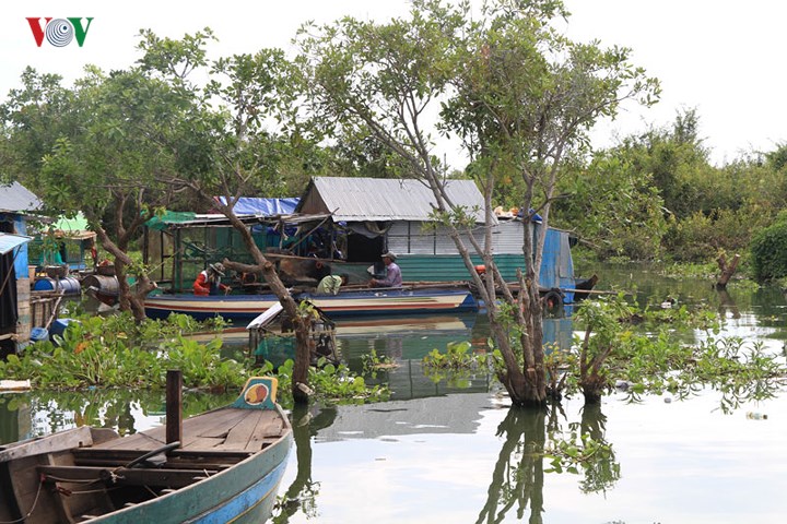 Cuộc sống của người Việt trên Biển Hồ, Campuchia