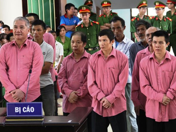 9 người phá 64 ha rừng ở Bình Định lĩnh án