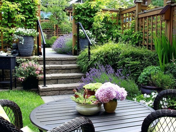 Vợ tái mặt trước bí mật của chồng tuổi 70 trong nhà nghỉ