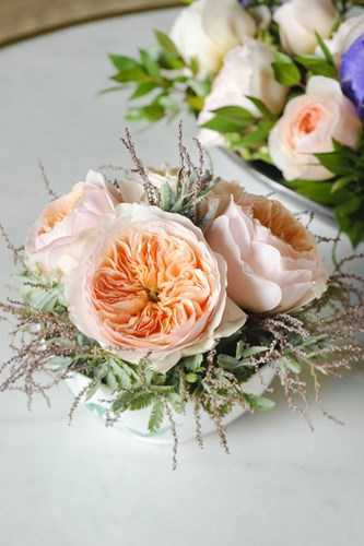 Ngắm bông hồng mang tên nàng Juliet, bán 1 căn biệt thự chưa chắc mua được 1 bông